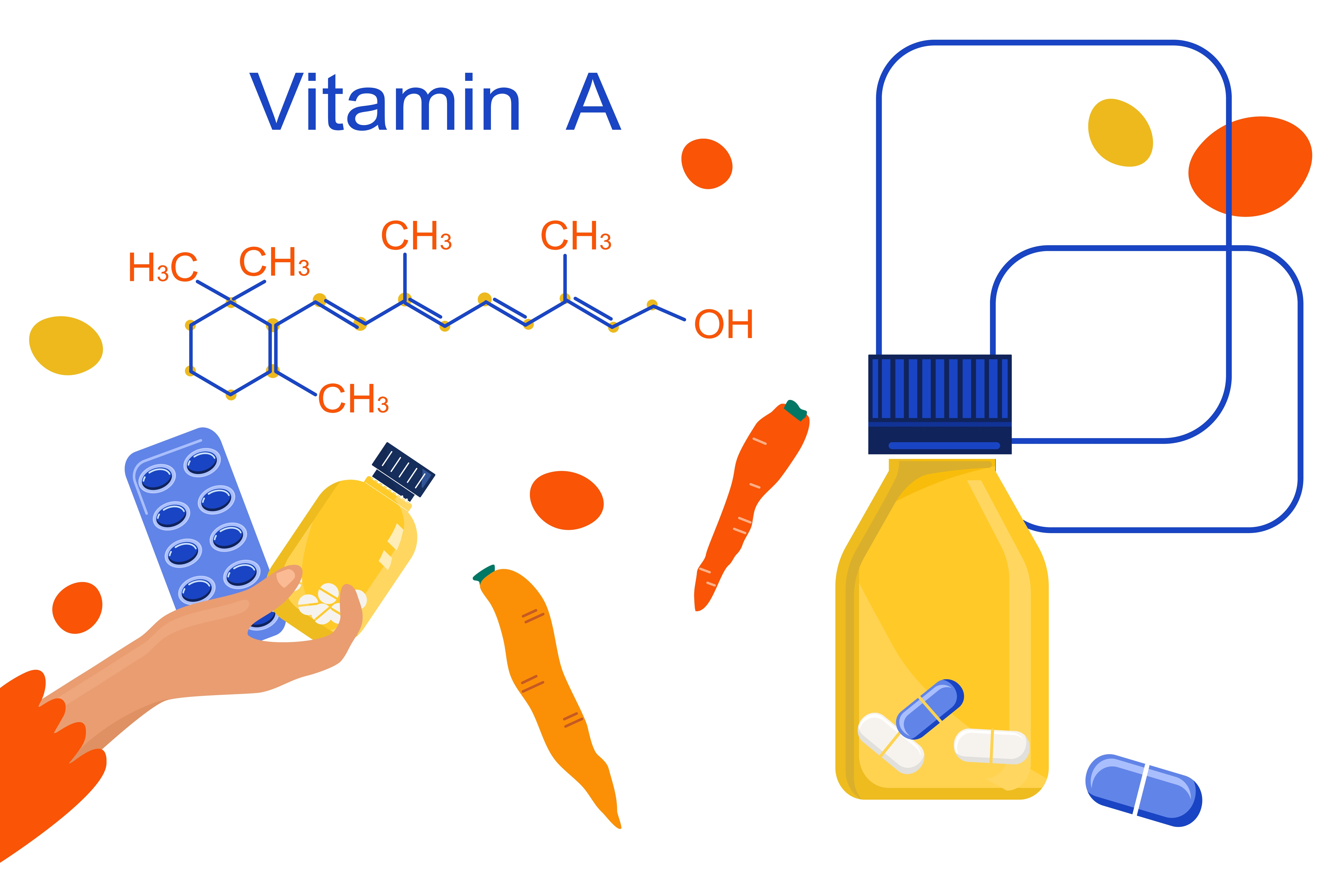 preformed vitamin,pregnant women, retinoic acid, vitamin a during pregnancy, birth defects, beta carotene, vitamin a deficiency,how much vitamin, fat soluble vitamin,baby's growth,vitamin a and pregnancy,retinoic acid metabolites